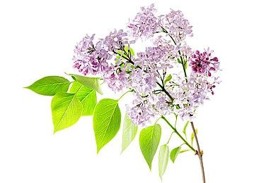 临时工？《使命召唤：现代战争3》定价不到40美元